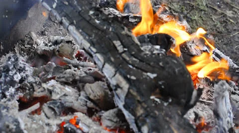 Campfire Stock Footage 22747311