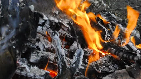 Campfire Stock Footage 22747315