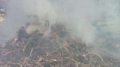 Campfire Stock Footage 24695662