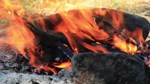 Campfire Stock Footage 27847206
