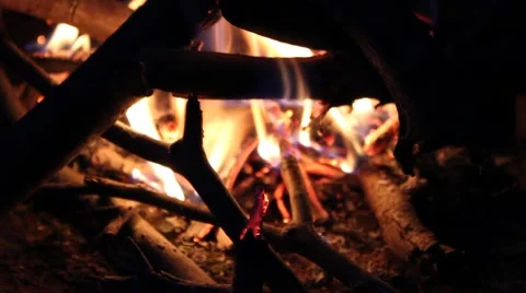 Campfire Stock Footage 44446931