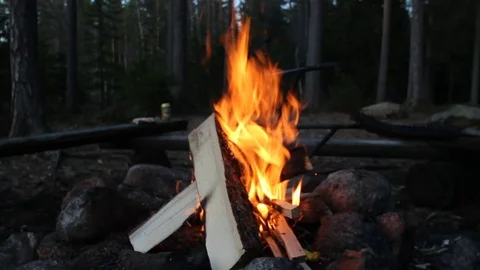 Campfire Stock Footage 71171689