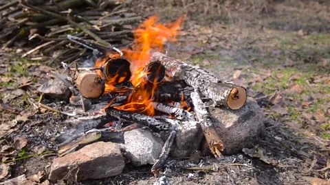 Campfire Video stock 73359468