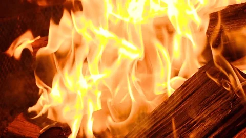 Campfire Stock Footage 85107859