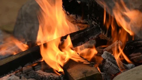 Campfire Vidéo 86205294