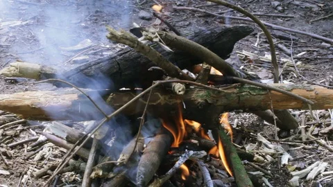 Campfire Video stock 90627577