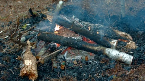 Campfire Stock Footage