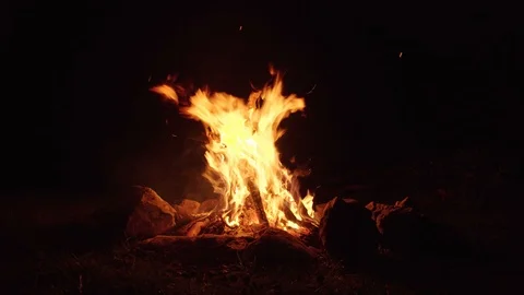 Campfire Stock-Footage 109444623