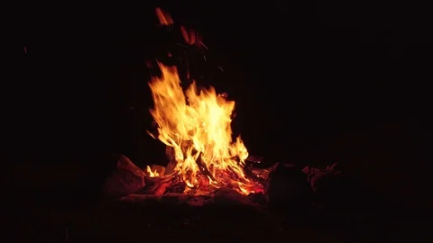Campfire Stock Footage 109444645