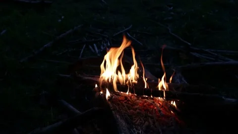Campfire Stock Footage 131197023