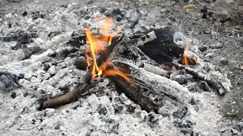 Campfire Stock Footage 135038982