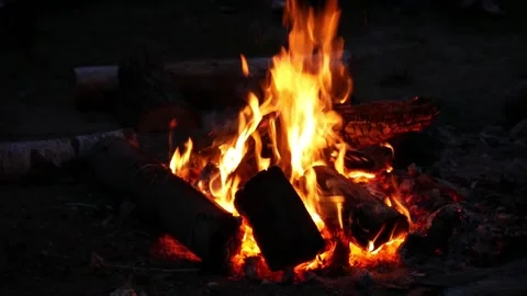 Campfire Stock Footage