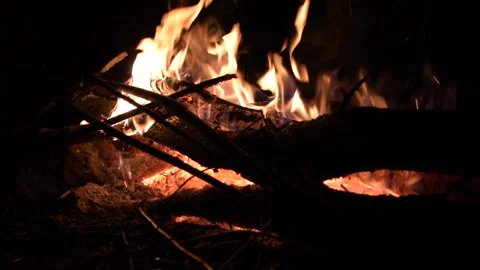 Campfire Stock Footage 150132943