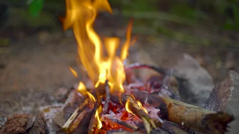Campfire Stock Footage 157002932