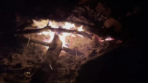 Campfire Stock Footage 158886579