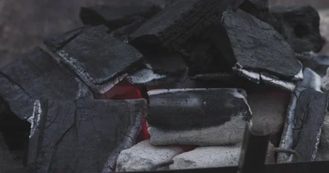 Campfire Video stock 163001003