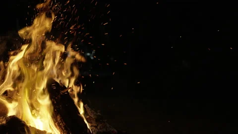 Campfire Stock Footage 189355878