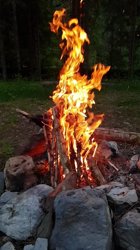 Campfire Stockbeeldmateriaal 229613672