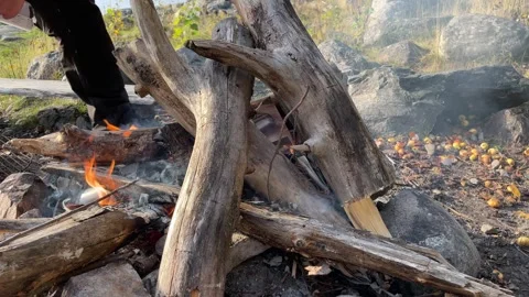 Campfire. Video stock 256106075