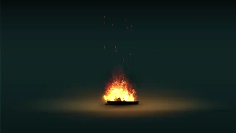Campfire Stock-Footage 262692339
