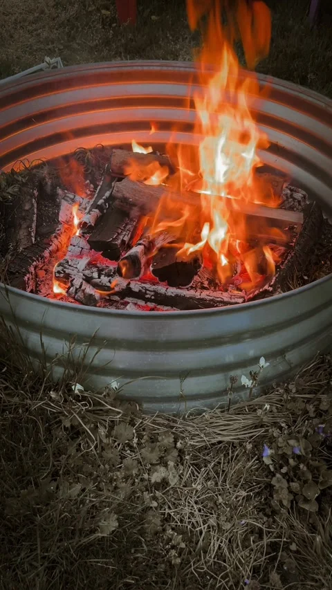 Campfire Stock Footage 279520808
