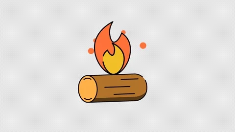 Campfire Stock Footage 290004873