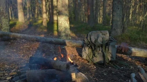 Campfire Stockbeeldmateriaal 294177696