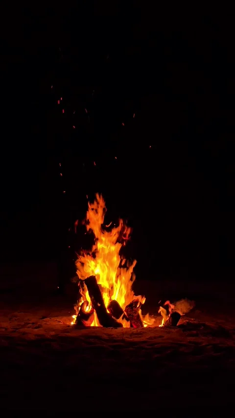 Campfire Stock Footage 344576713