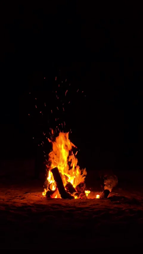 Campfire Stock Footage 344576728