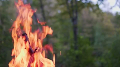 Campfire in the forest. Bonfire light. Journey Stock Footage 162377492
