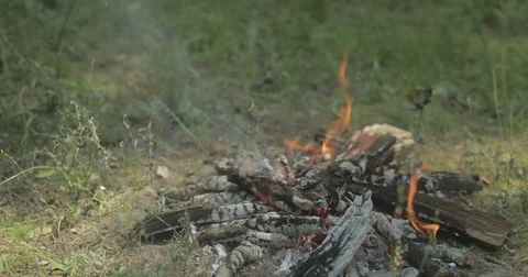 Campfire in forest burned down to hot coals Video stock 76703365
