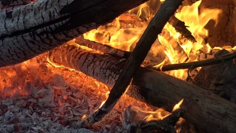 Campfire in the forest close-up Stock Footage 101171501
