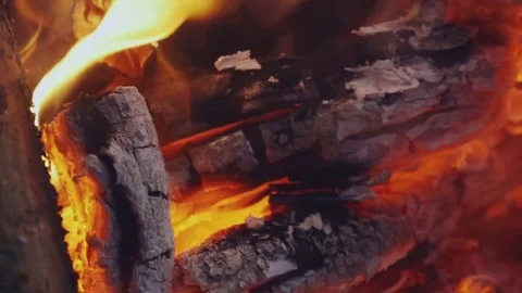 Campfire in forest close up slowmotion Stock Footage 70201244