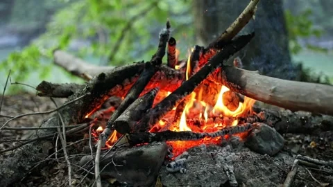 Campfire in the forest in the evening on the background of a mountain river. Stock Footage 266162847