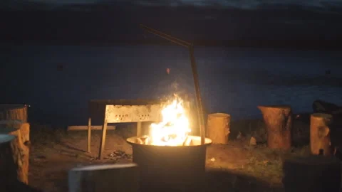 Campfire at the forest Stock-Footage 92449824