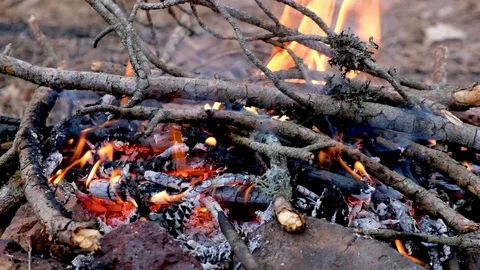 Campfire in the forest Stock Footage 127043575