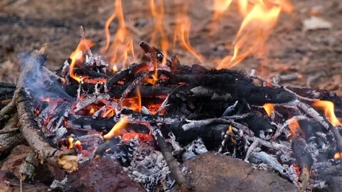 Campfire in the forest Stock Footage 127053617