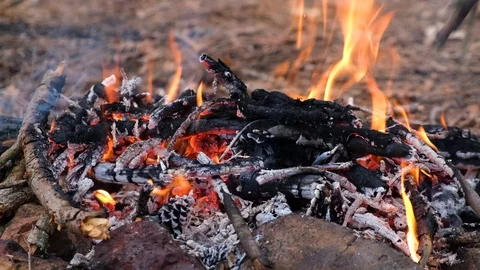 Campfire in the forest Stock Footage 127054536