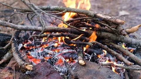Campfire in the forest Stock Footage 127054621
