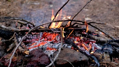Campfire in the forest Stock Footage 127118296