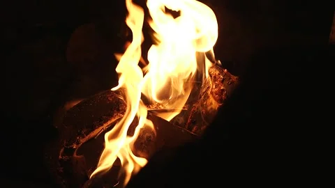 Campfire in the forest Stock Footage 290354594