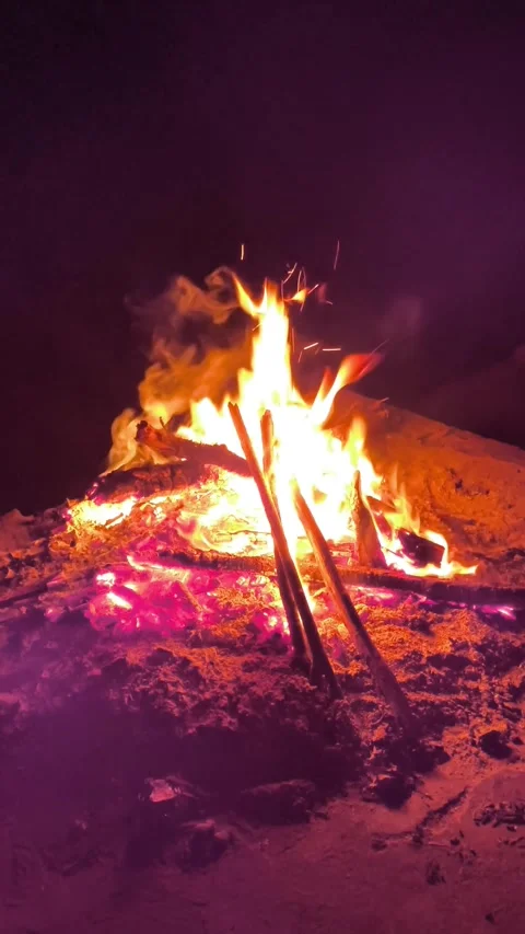 Campfire in the forest Stock Footage 340004712