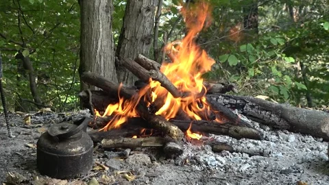 Campfire in Forest with Kettle — Warm Flames and Natural Ambience Vidéo 346386428
