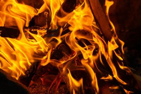 Campfire in the forest at night Stock Photos
