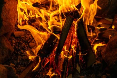 Campfire in the forest at night Stock Photos