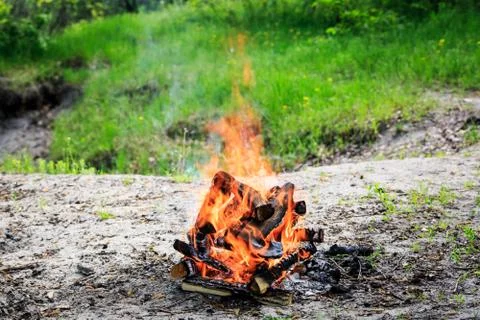 Campfire in forest Fotos de archivo