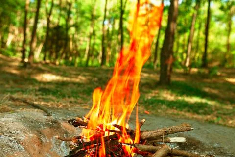Campfire in the forest Stock Photos
