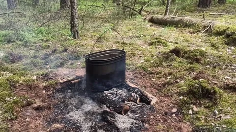 A campfire in the forest, a pot on fire Stock Footage 235940012