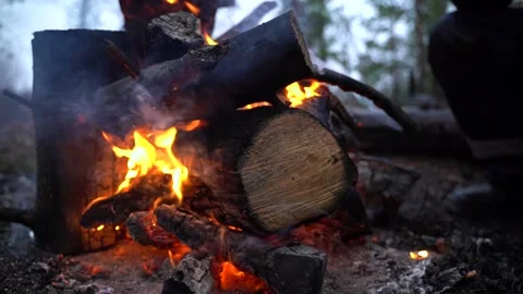 Campfire in the forest in slow motion. Burning firewood.  Kebab 3 Stock Footage 220096880