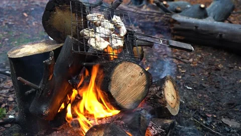 Campfire in the forest in slow motion.  Rest by the fire. Kebab 1 Stock Footage 220746870